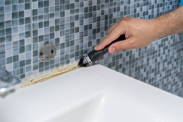Best Home Mold Removal  in Nambe, NM